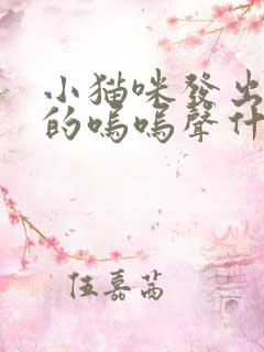 小猫咪发出低沉的呜呜声什么意思