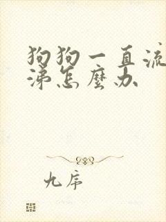 狗狗一直流清鼻涕怎么办