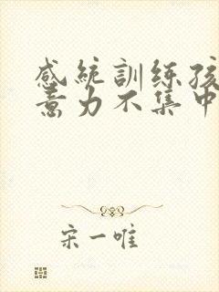 感统训练孩子注意力不集中