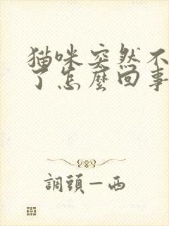 猫咪突然不喝水了怎么回事