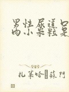 男性尿道口上有肉小米粒是怎么回事