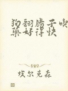 狗翻肠子吃什么药好得快