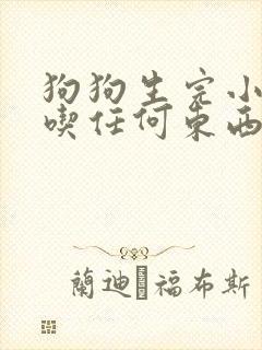 狗狗生完小狗不吃任何东西怎么办