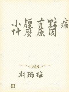 小腹有点痛便血什么原因