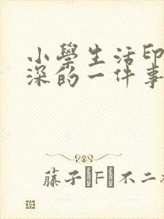 小学生活印象最深的一件事500字