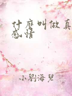 什么叫做真正的感情