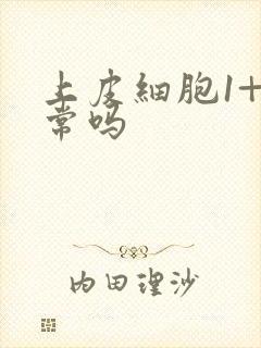 上皮细胞1+正常吗