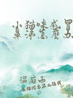 小猫咪感冒了流鼻涕怎么办