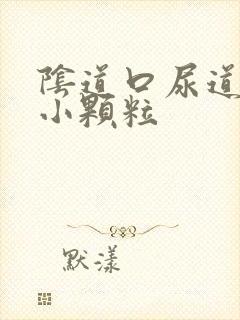 阴道口尿道口长小颗粒