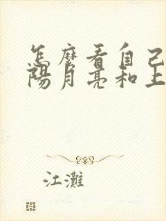 怎么看自己的太阳月亮和上升星座