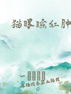 猫眼睑红肿流脓