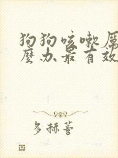 狗狗咳嗽厉害怎么办最有效