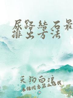 尿路结石最快的排出方法