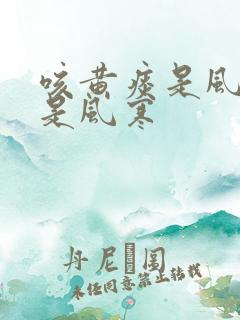 咳黄痰是风热还是风寒