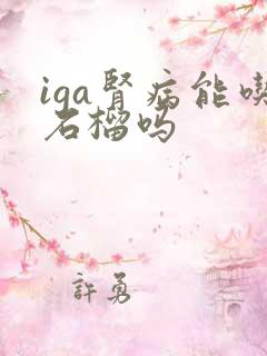 iga肾病能吃石榴吗