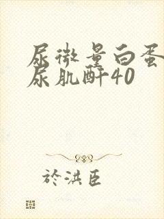 尿微量白蛋白/尿肌酐40