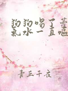 狗狗喝了藿香正气水一直呕吐怎么办