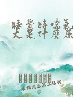 睡觉时喘气声很大是什么原因