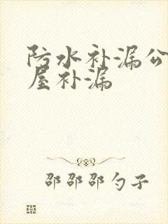 防水补漏公司房屋补漏