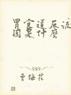 胃食道反流的原因是什么