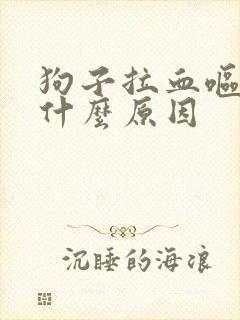 狗子拉血呕吐是什么原因