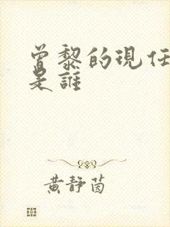 曾黎的现任丈夫是谁