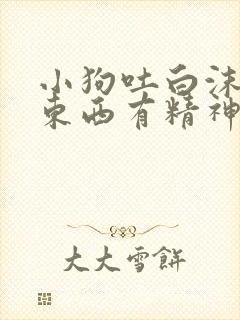 小狗吐白沫不吃东西有精神吃什么药