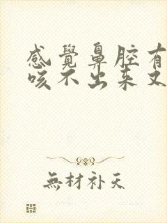 感觉鼻腔有异物咳不出来又咽不下去