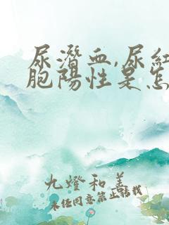 尿潜血,尿红细胞阳性是怎么回事