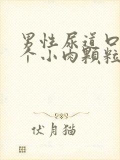 男性尿道口长了个小肉颗粒