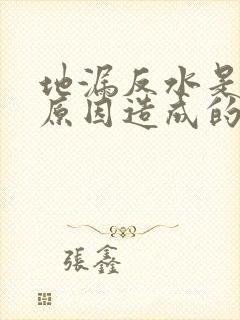 地漏反水是什么原因造成的