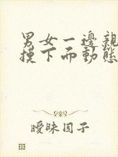 男女一边亲一边摸下面动态视频