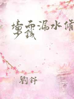 墙面漏水修复多少钱