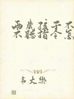 两岁孩子不说话不听指令怎么办