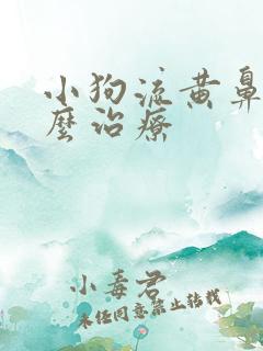 小狗流黄鼻涕怎么治疗