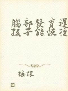 脑部发育迟缓的孩子能恢复正常吗