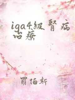 iga4级肾病治疗