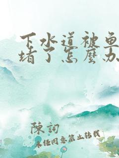 下水道被鱼骨头堵了怎么办