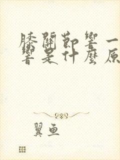 膝关节响一动就响是什么原因