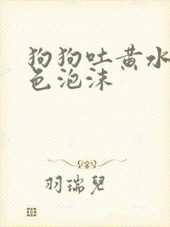 狗狗吐黄水带白色泡沫