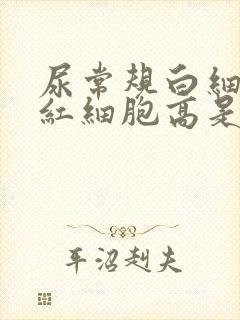 尿常规白细胞高红细胞高是怎么回事