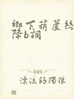 乡下葫芦丝曲谱降b调