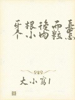 牙根后面长了一个小肉粒怎么回事