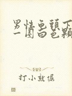 男性龟头下面有一圈白色颗粒