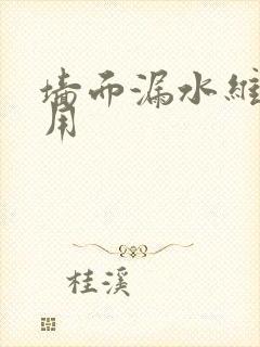 墙面漏水维修费用