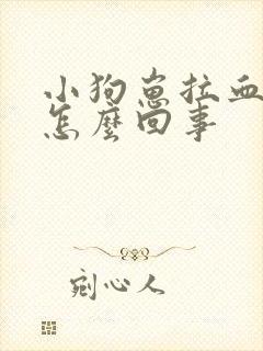 小狗崽拉血便是怎么回事