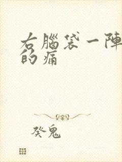 右脑袋一阵一阵的痛