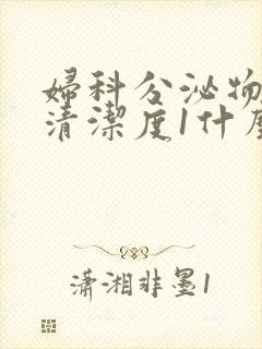 妇科分泌物检查清洁度1什么意思