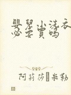 婴儿小洗衣机有必要买吗