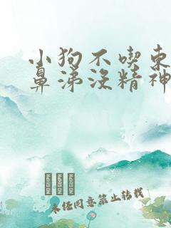 小狗不吃东西流鼻涕没精神怎么办